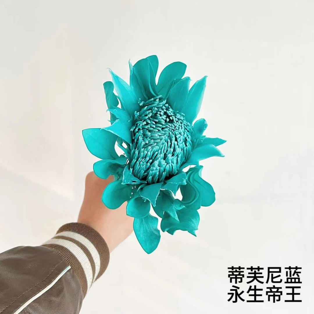 【风花小院】永生花多色可选 无需用水瓶插养护两只以上包邮