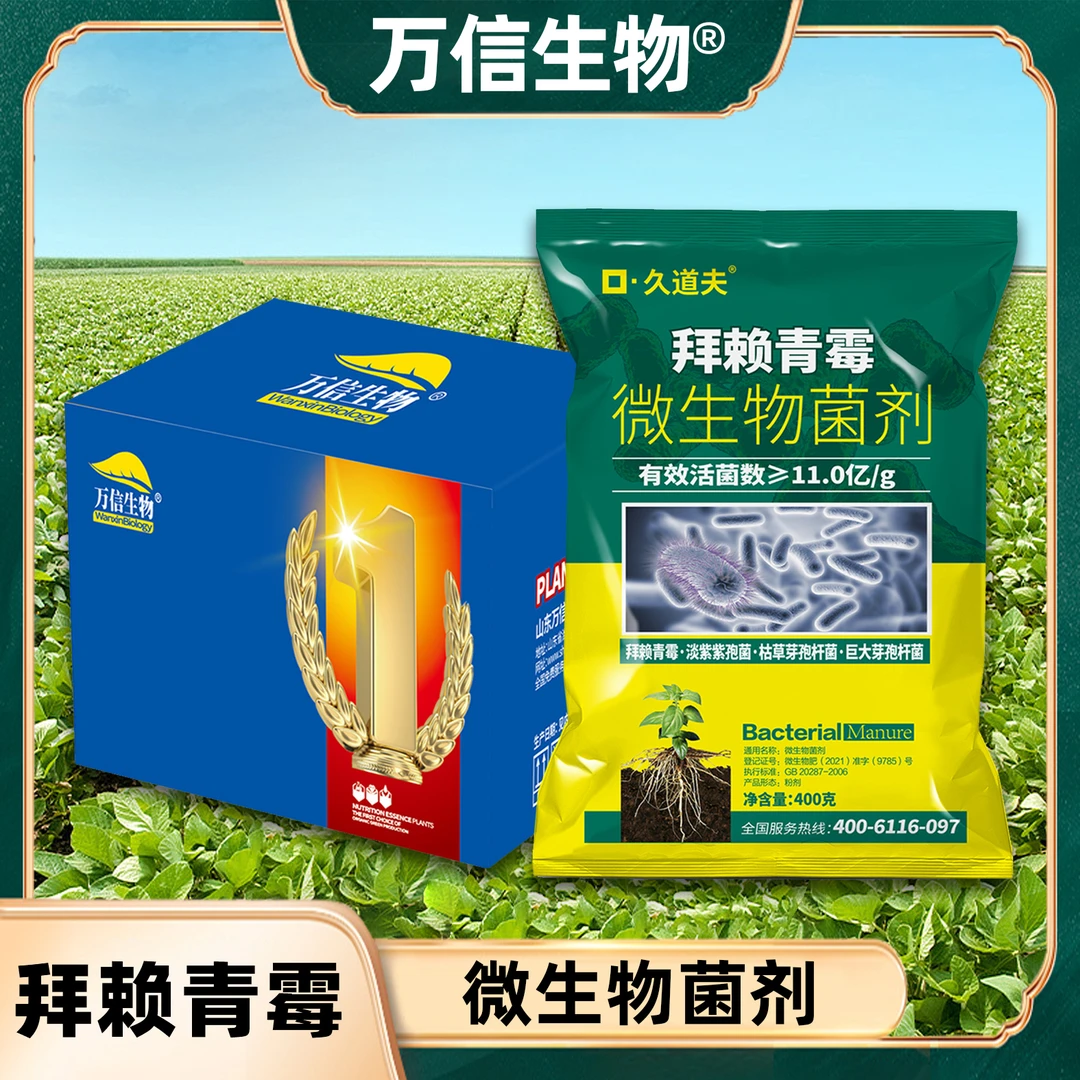 拜赖青霉抑制根腐病作物枯萎病猝倒病霜霉病减轻土壤盐碱化