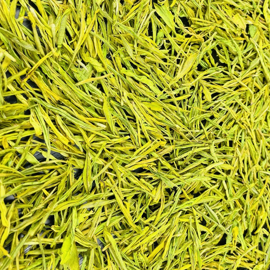 2024安吉梅溪镇高山黄金芽奶白茶258