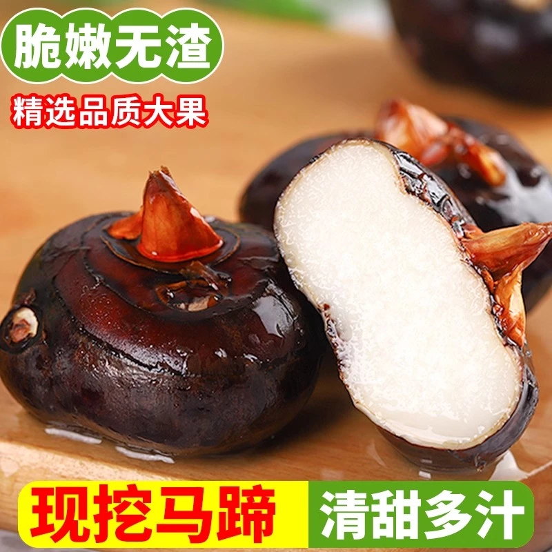 荔浦马蹄荸荠新鲜包邮大果即食现挖农家水果大地脆栗梨饽荠蔬菜