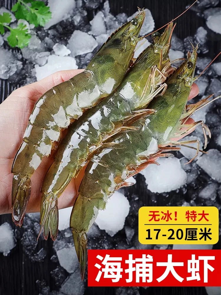 3斤装 3040规格厄瓜多尔大虾鲜活超大速冻冷冻大虾天然海捕大虾