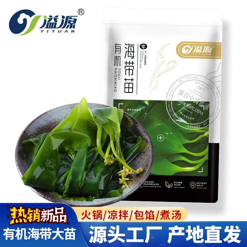 新鲜霞浦海带嫩苗火锅食材嫩新鲜盐渍海带嫩苗500g非干货霞浦特产