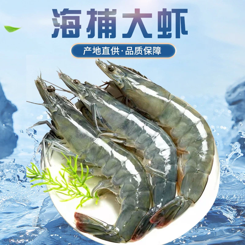 【山海经选】4050盐冻鲜活超大新鲜对虾冷冻海捕盐田大虾海洋盒装虾