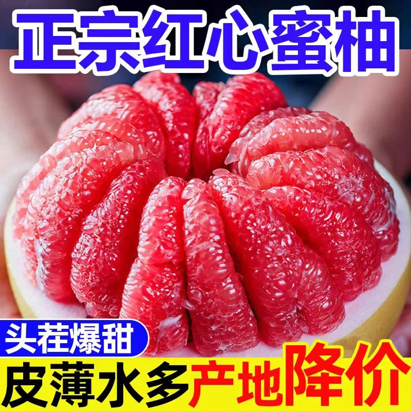 【40年老树果】正宗福建平和琯溪红心蜜柚新鲜水果多汁饱满肉嫩产地