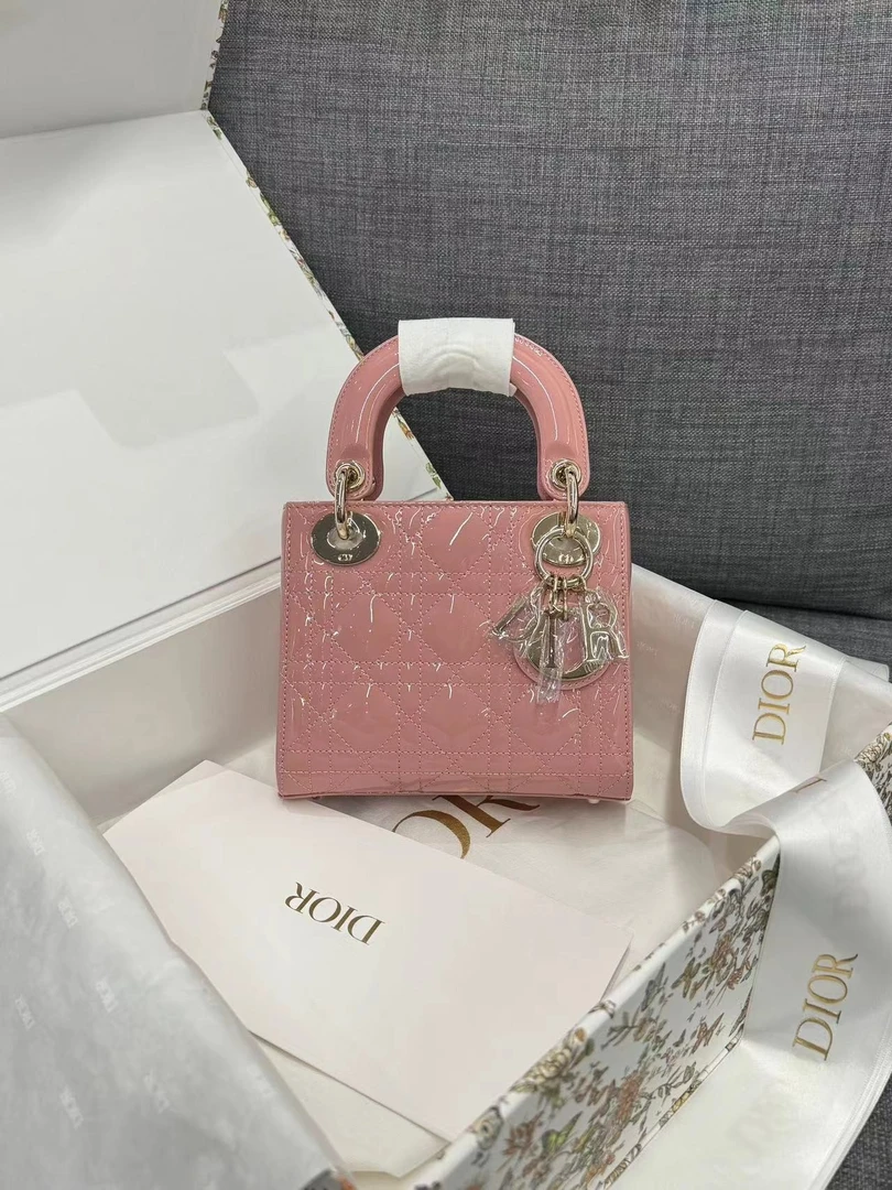全新未使用 DIOR/迪奥 【24年新色】戴妃三格复古粉漆皮 大全套