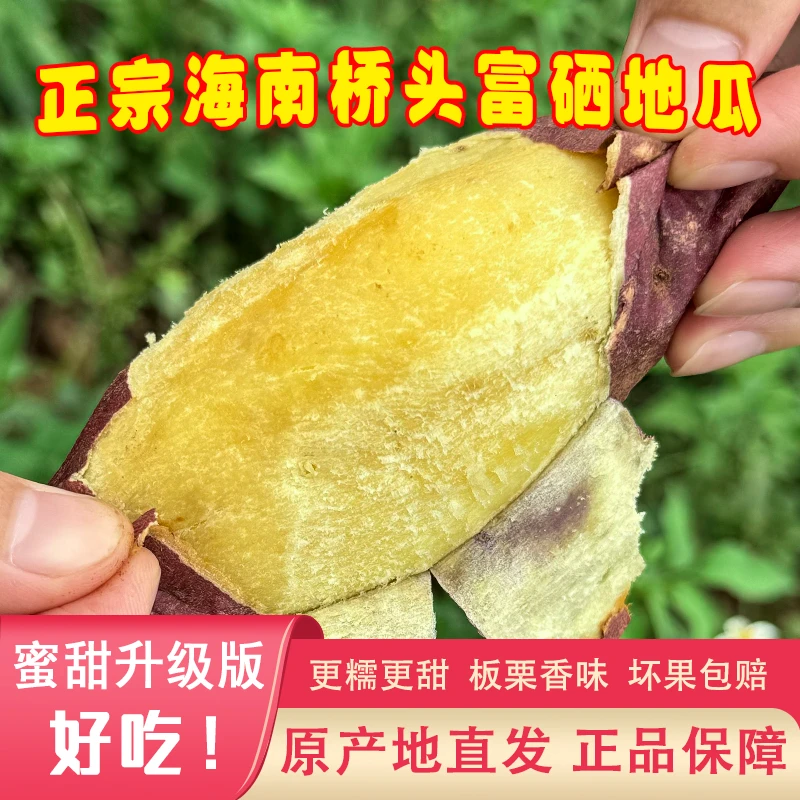 【超优级蜜甜】正宗海南桥头地瓜3/5/9斤新鲜富硒红薯软糯香甜番薯
