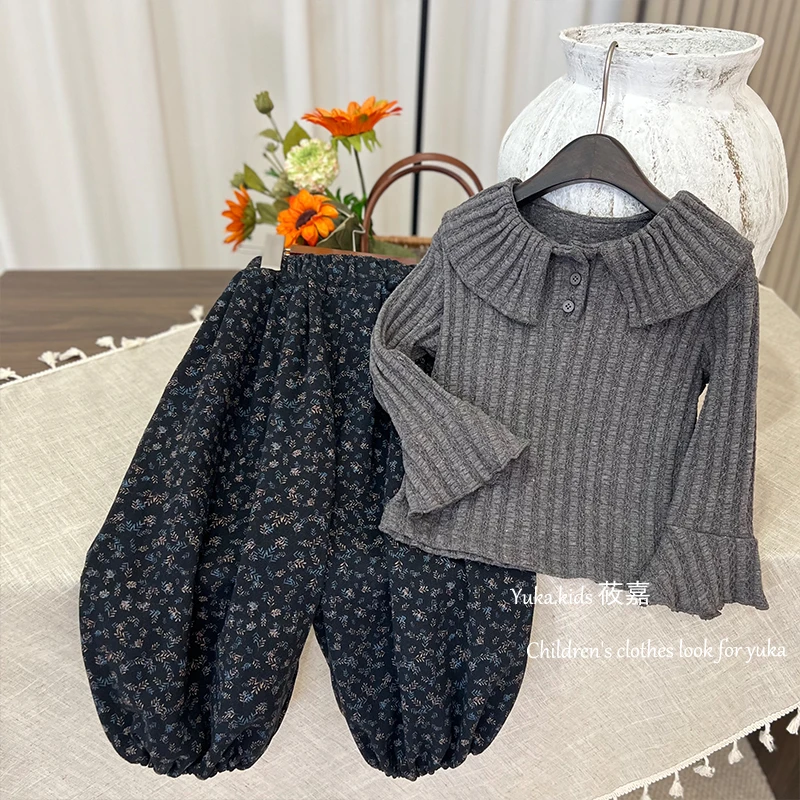 2024秋季新款女童韩版洋气长袖上衣时尚休闲碎花灯笼裤套装24558