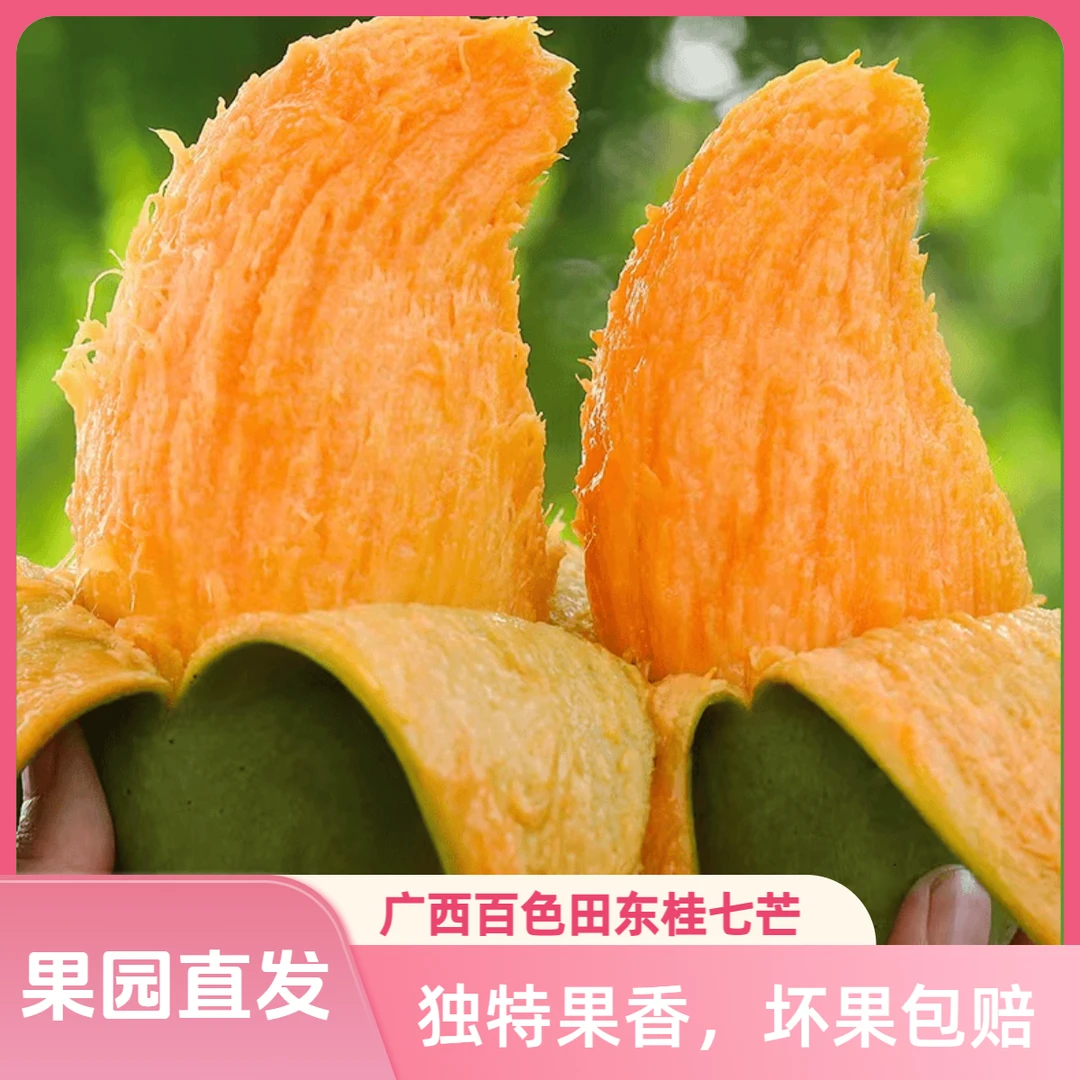 【百色桂七】广西百色田东桂七芒香甜多汁香味浓郁现摘现发坏果包赔