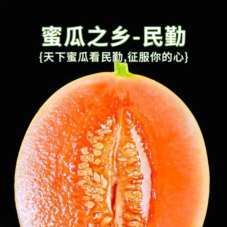 【产地直发5】甘肃民勤沙漠蜜瓜 金红宝 新鲜水果 4.5-9斤装