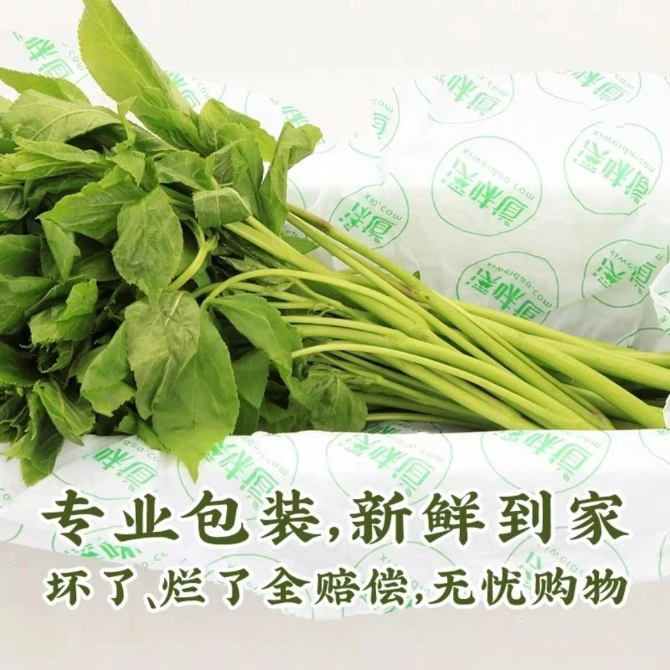 刺五加东北春季山野菜刺果棒现采现发新鲜到家500克包邮刺果棒