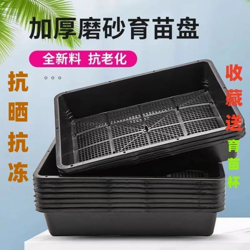 运输专用笼子带九斤红土鸡10只（半斤）