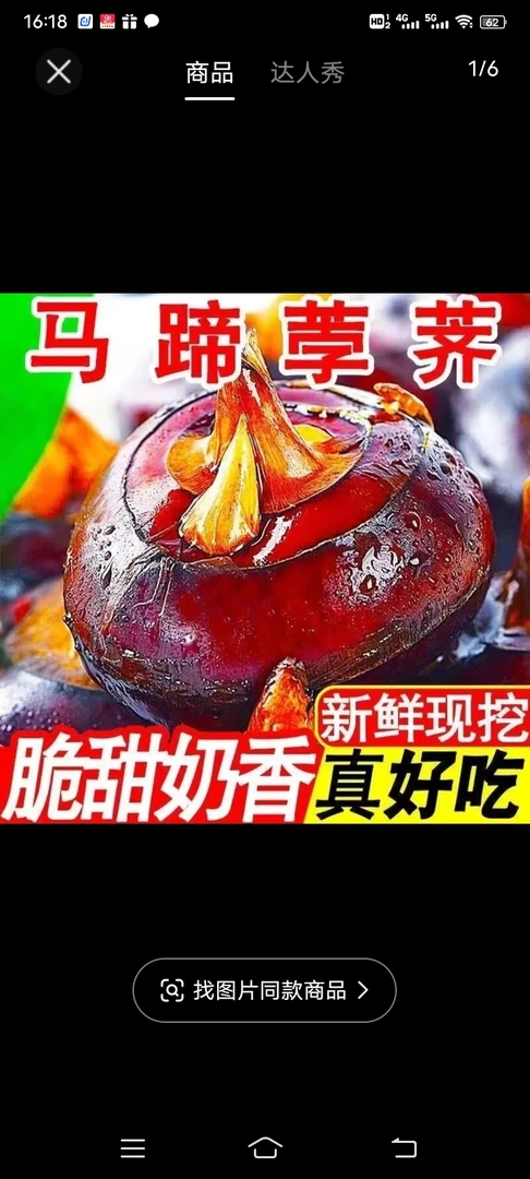 广东乐昌北乡农家自种清甜无渣渣奶香马蹄