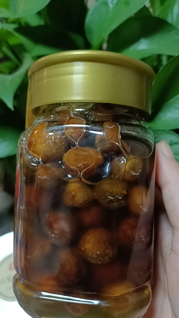 春砂仁蜜 春砂鲜果浸蜂蜜 阳春特产春砂果阳春发货1斤包邮