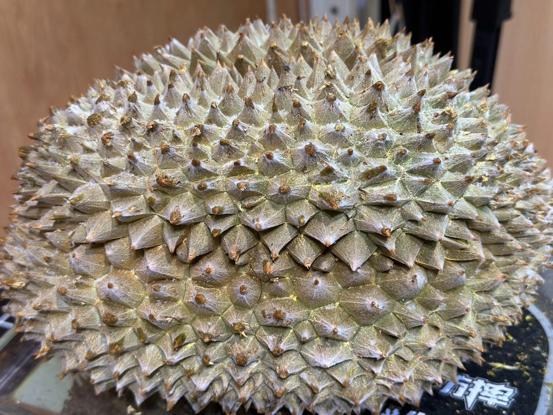 液氮锁鲜榴莲(一物一拍)2号