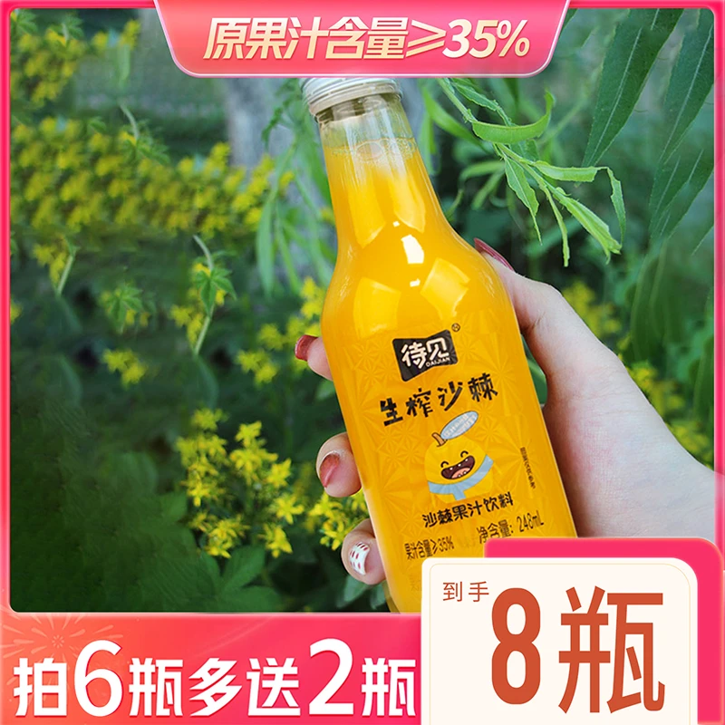 待见【沙棘果汁饮料248mlx8瓶】酸甜可口 VC果汁饮品 玻璃瓶装