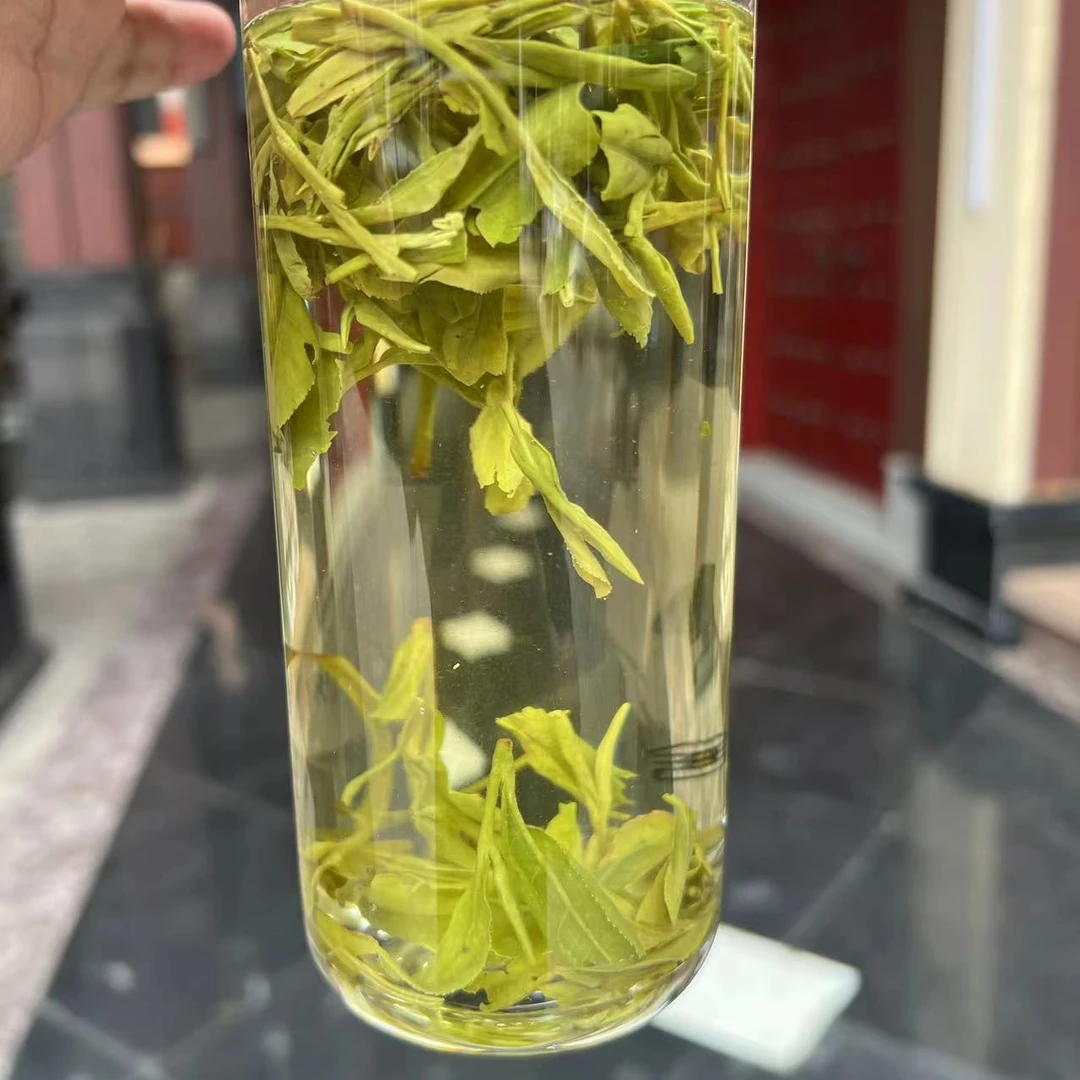 高山龙井茶绿茶 2024年新茶 回甘特好 越州龙井茶