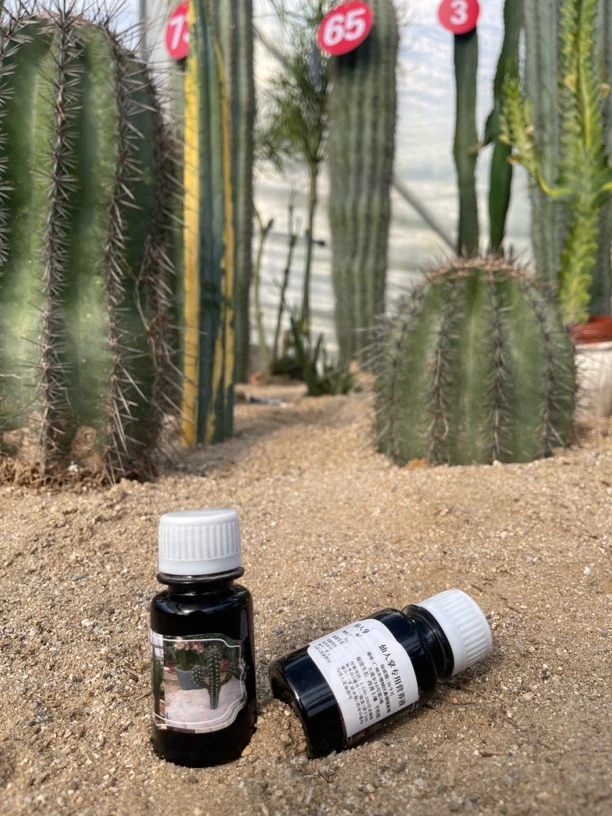 养花营养液通用型植物花肥料养花专用肥料盆栽浓缩型绿叶营养液