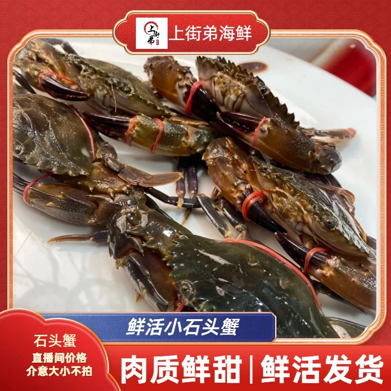【上街弟海鲜】杂蟹小石头蟹青蟹介意大小不拍【包鲜不包活】鲜活