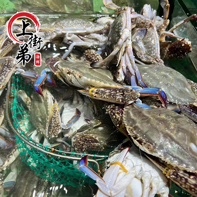 【鲜活小梭子蟹】【保鲜不保活】上街弟海鲜梭子蟹只2-3两3/5斤新鲜