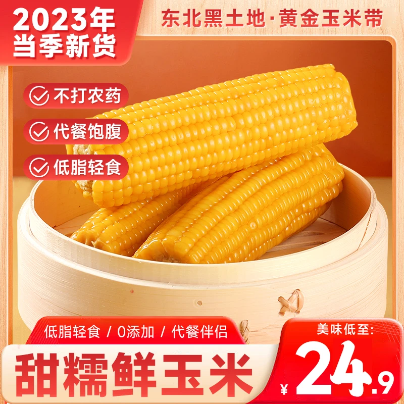 东北黄糯玉米【整箱净重5斤以上】真空独立包装黄糯玉米香糯玉米