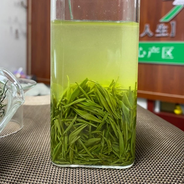 2025信阳毛尖新茶雨前次芽春茶耐泡浓香型雨前篓头