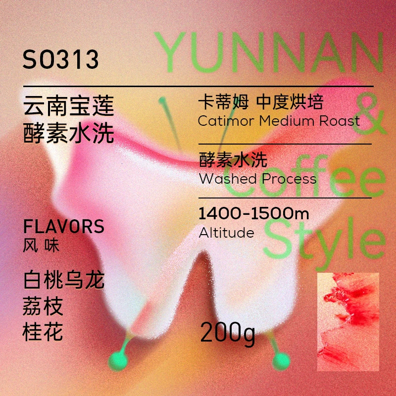 云南宝莲 酵素水洗 桂花白桃 手冲冷萃冰咖啡豆