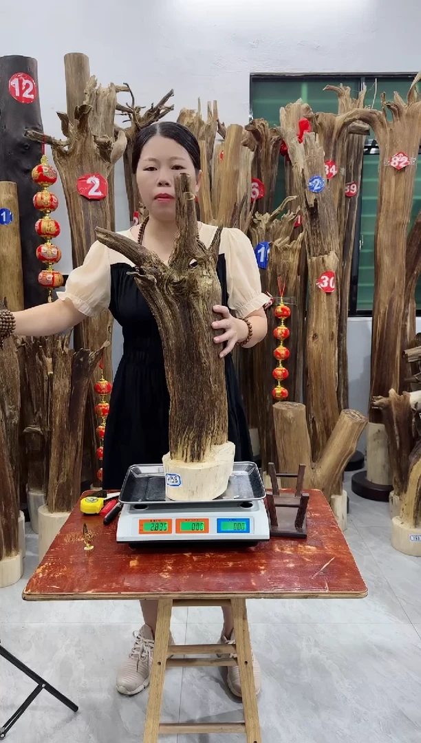 【闪购商品】沉香木摆件沉香原木摆件