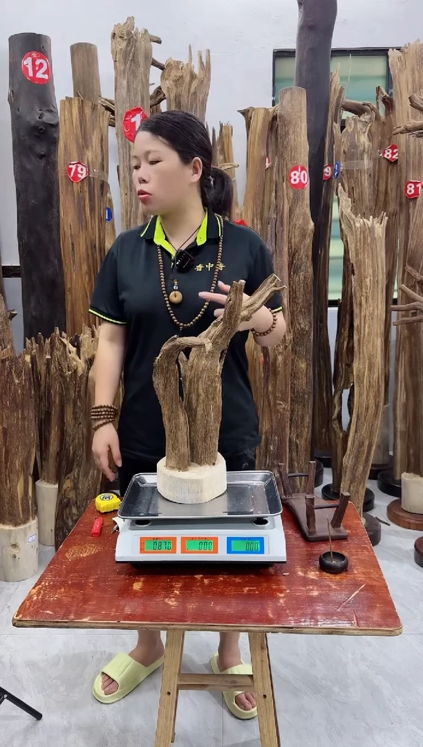 【闪购商品】沉香木摆件沉香原木摆件