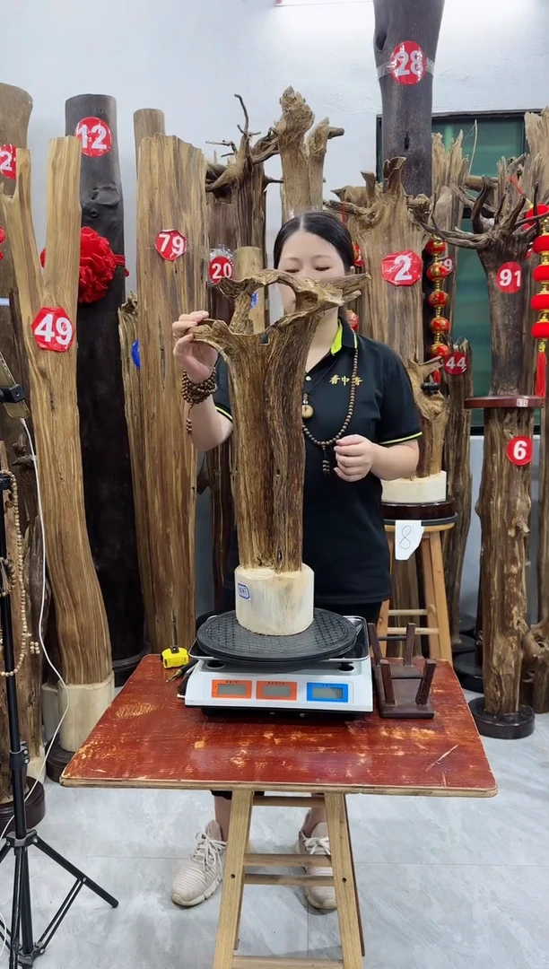 【闪购商品】沉香木摆件沉香原木摆件