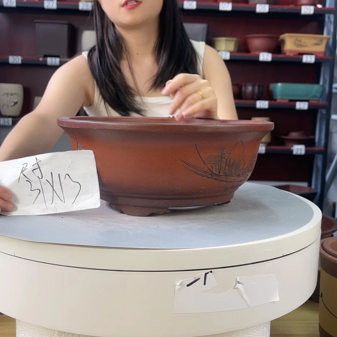紫砂20CM（含）-50CM（不含）