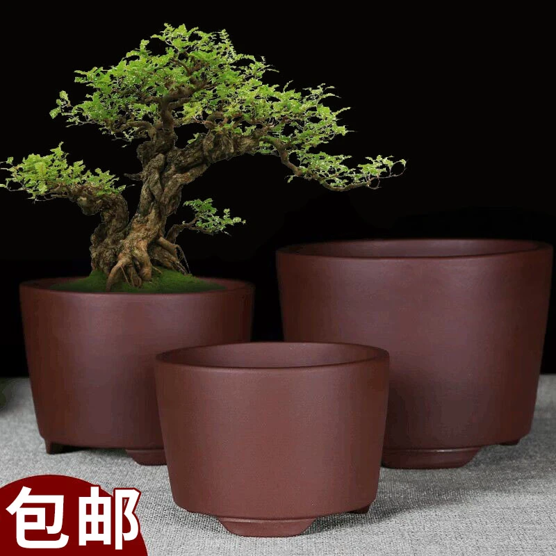 宜兴紫砂透气圆柱盆景耐用君子兰小吊兰花盆绿萝多肉简约陶瓷盆