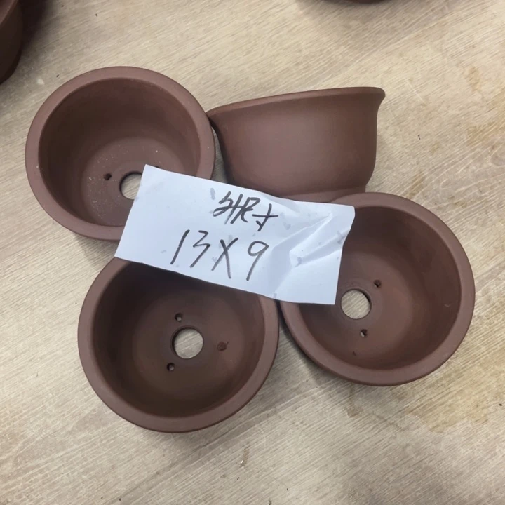 紫砂20CM（含）-50CM（不含）弯*柳