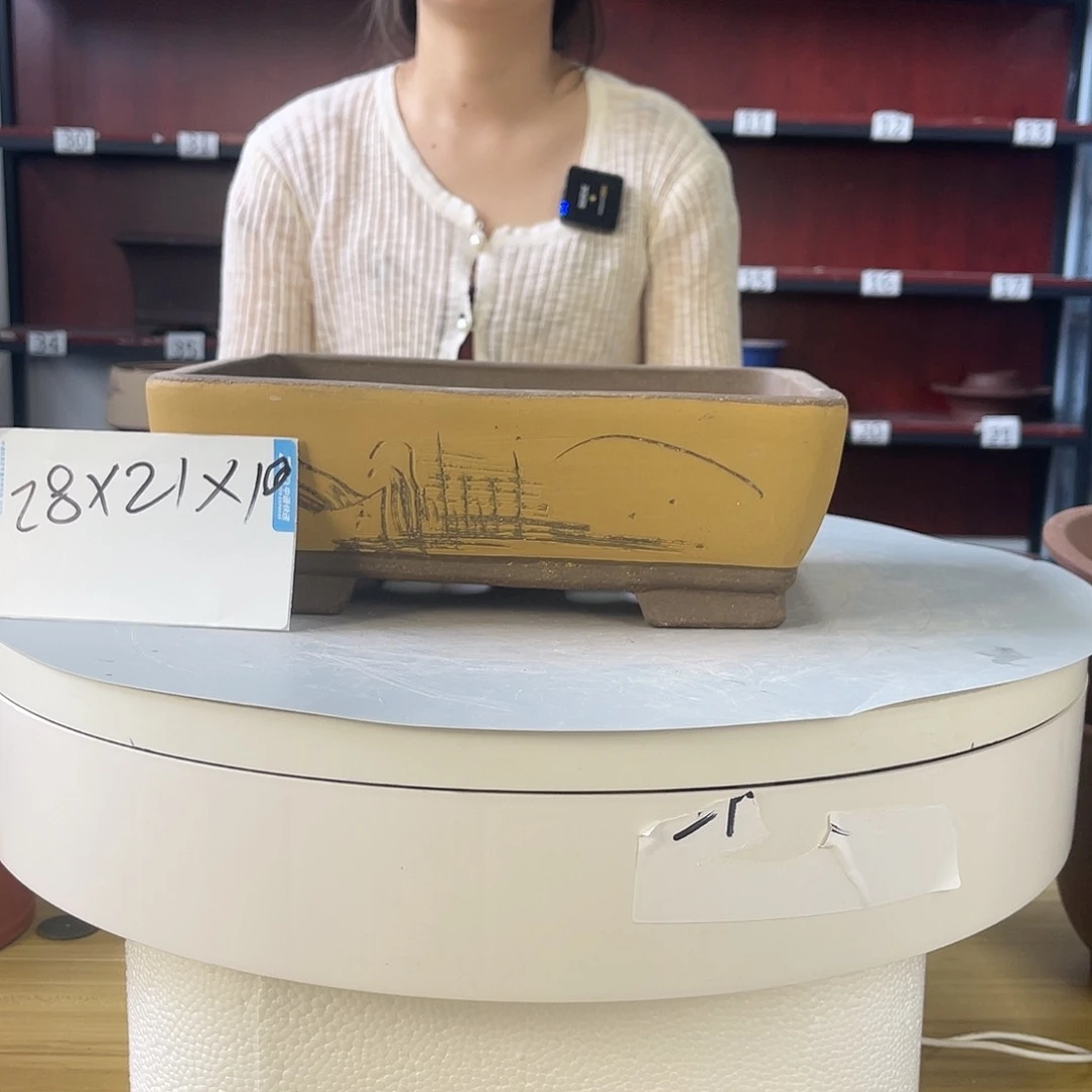 紫砂20CM（含）-50CM（不含）