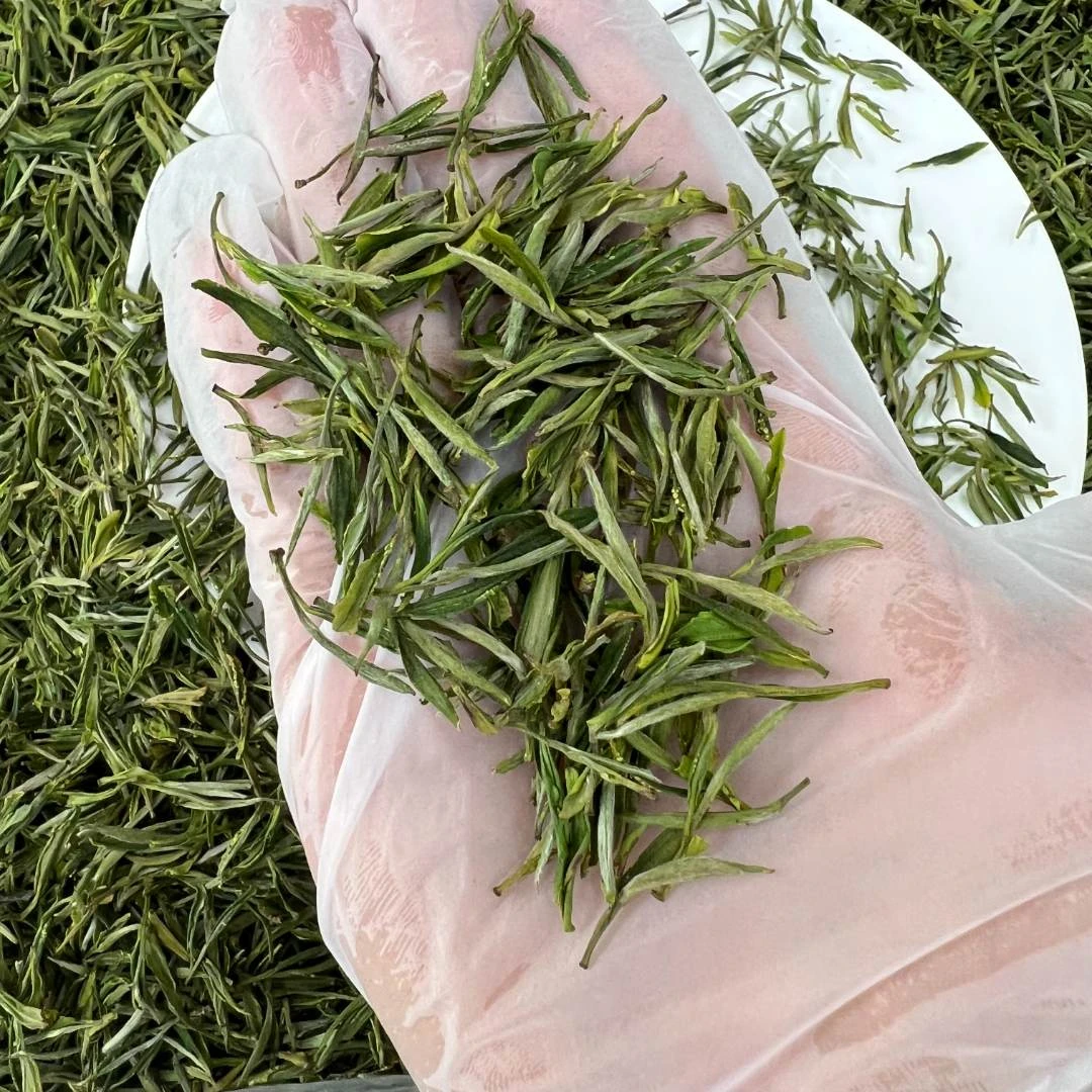 2025-明前黄山毛峰250g/500g