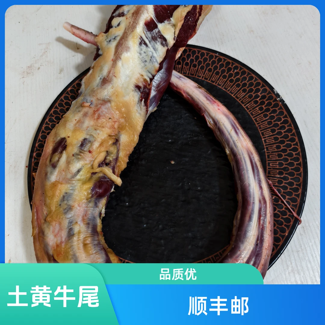 贵州土黄牛（牛尾）4斤装顺丰包邮牛肉整根生鲜