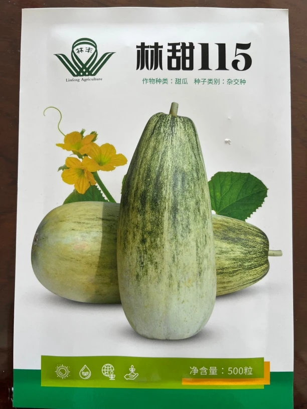 林甜115金芒果类型薄皮甜瓜种子耐裂果金黄绿肉高产易坐果五百粒