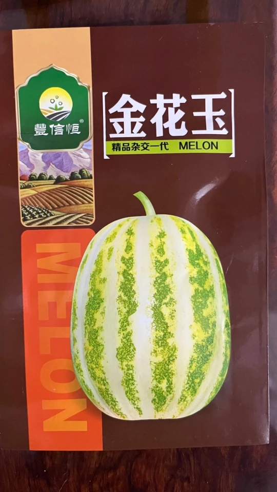 杂交一代薄皮花瓜花姑娘，转色快甜脆可口成熟期短高糖品种五百粒