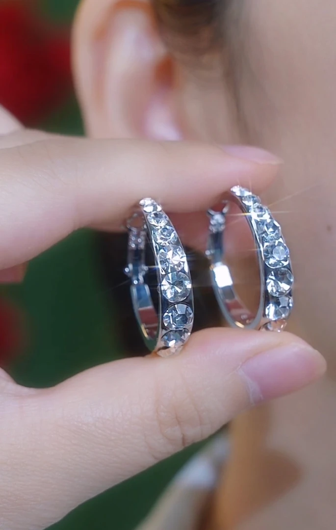 铜合金耳饰 轻奢气质时尚百搭法式小众精致银色耳环6631