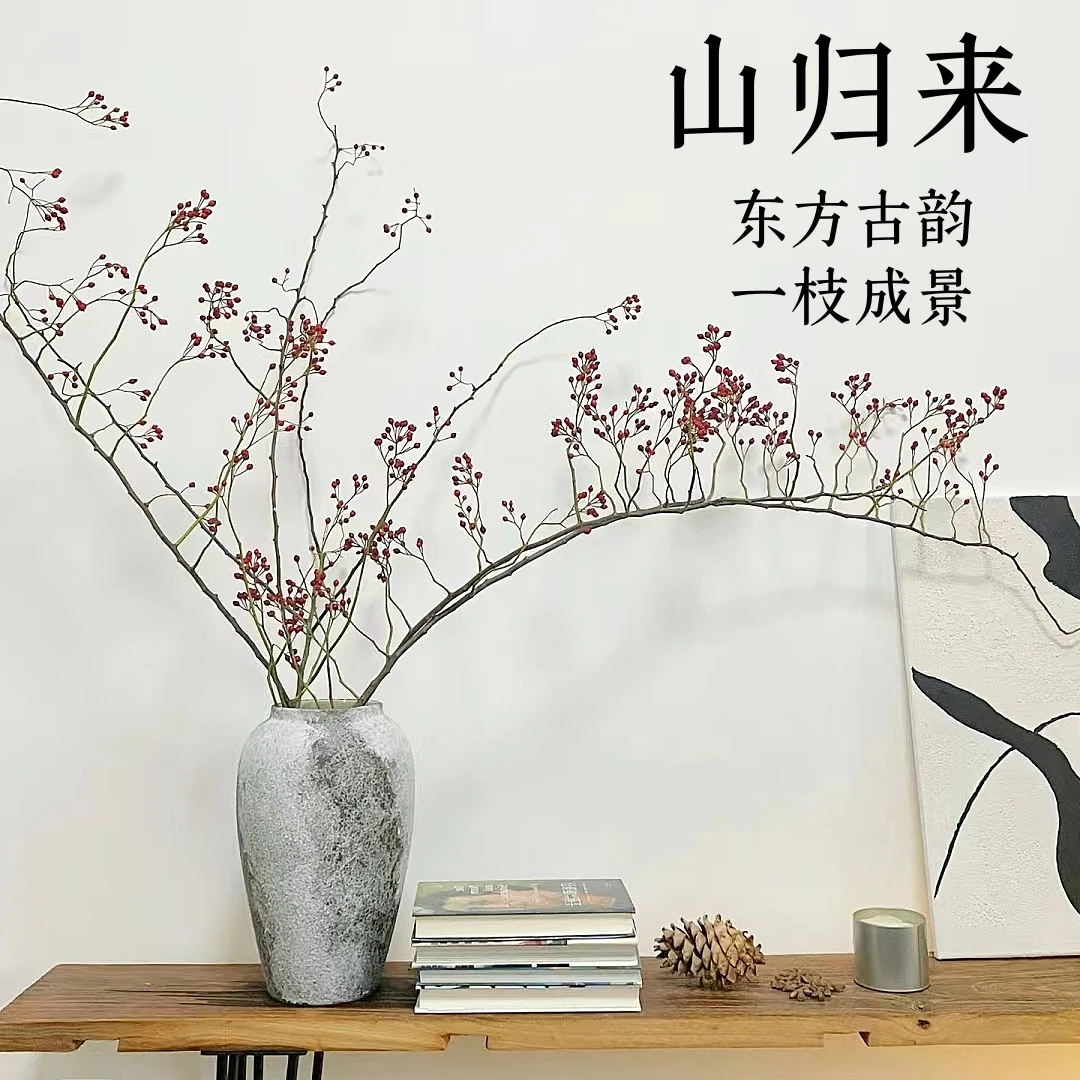 水培山归来蔷薇果鲜切枝条高品质线条感国风意境氛围感花材可干花