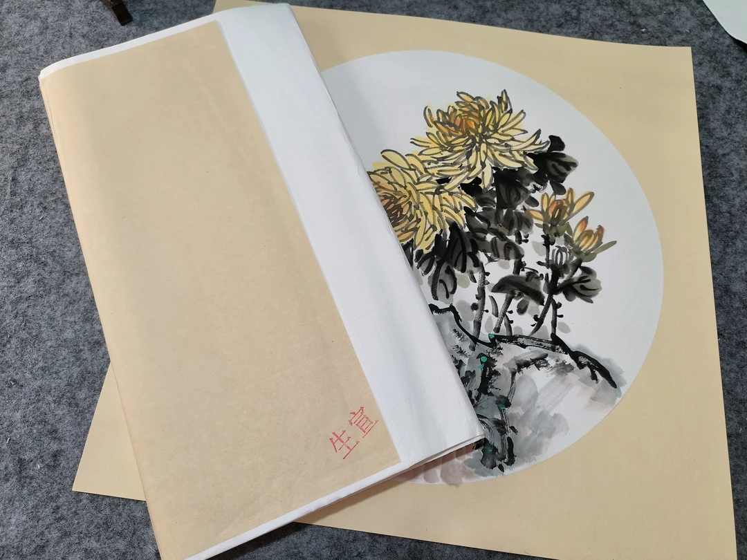 静墨老师同款直播授课练习纸生宣纸100张写意花鸟画专用薄款