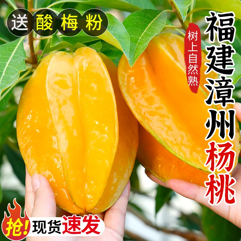 福建漳州甜杨桃3/5斤新鲜水果应当季整箱包邮洋桃红扬桃五角阳桃