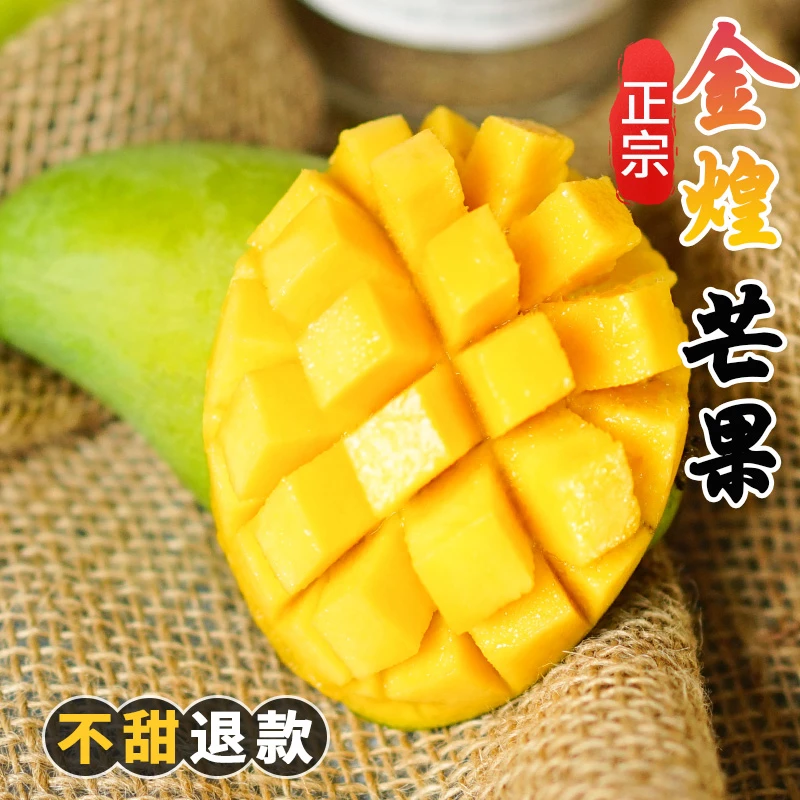 【礼盒装】百色金煌芒果10斤新鲜水果省钱风轻食（催熟后食用）