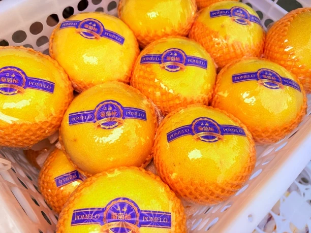 新鲜福建 葡萄柚一公斤