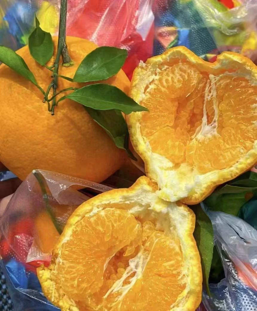 耙耙柑 一件三公斤