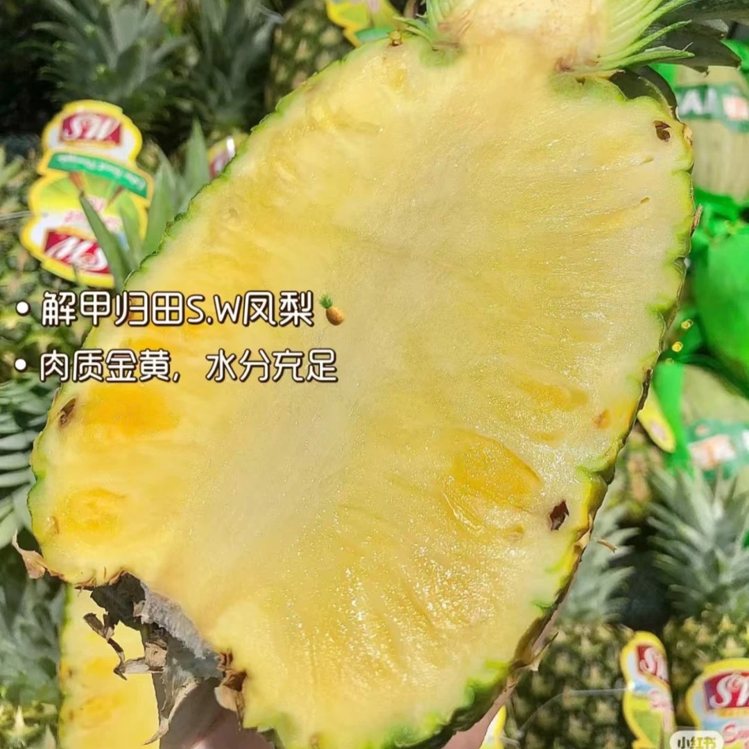 【珠小果】SW蜂蜜凤梨1份九甜一酸【配送到家】
