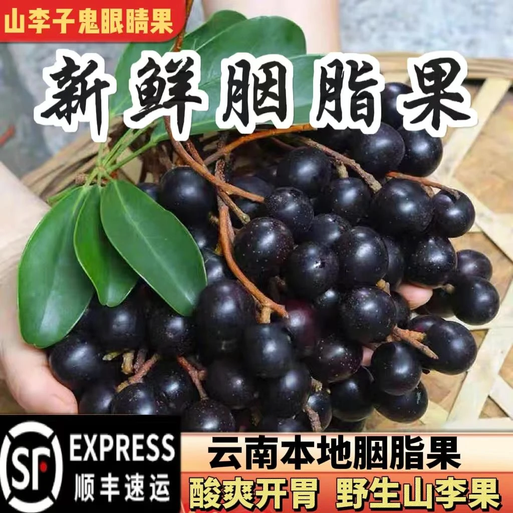 顺丰新鲜胭脂果山李子鬼眼睛果云南德宏野生新鲜水果酸酸果孕妇