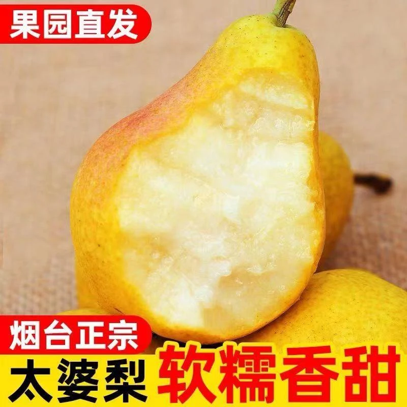 太婆梨烟台香蕉梨大头梨软梨啤梨新鲜当季多汁水果梨子整箱包邮