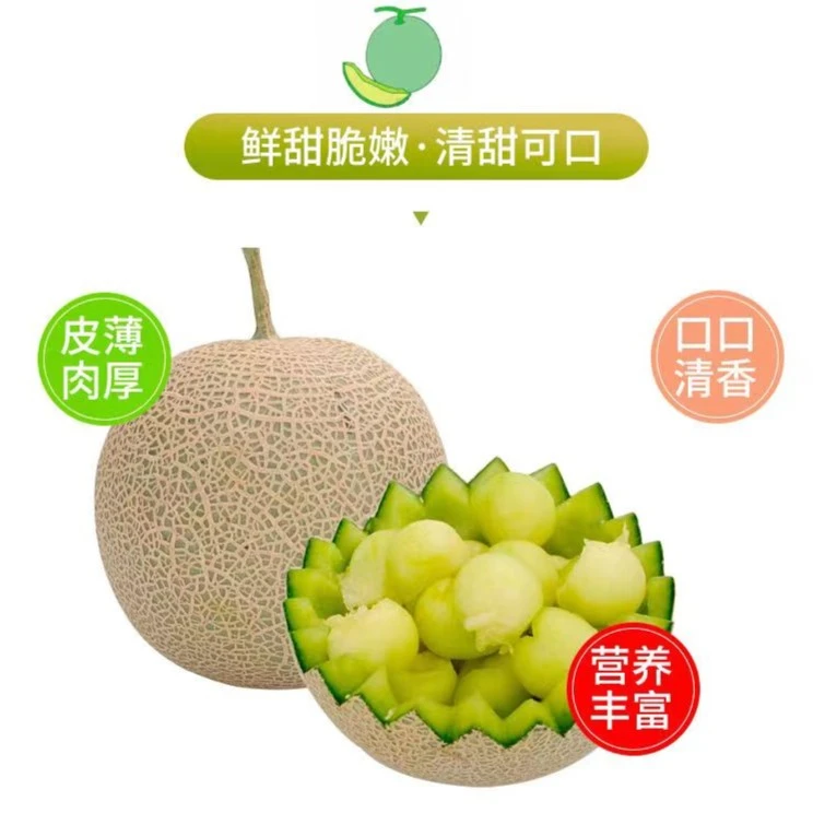 无品牌海南网纹瓜现摘软糯香甜玲珑瓜5斤9斤蜜瓜老少皆宜