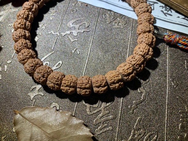 《藏式玉梅花》高端藏切手持小金刚菩提毕业款单圈