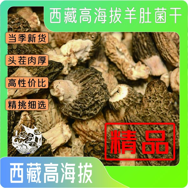 【西藏高海拔精品羊肚菌】高海拔原生精品干羊肚菌